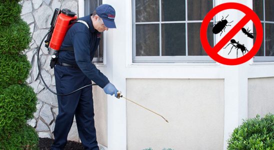 Eskişehir Bit İlaçlama böcek ilaçlama ve haşere kontrolü — ilaclama-tr.com